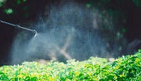 Pesticides à risques, 50 % de fruits et légumes contaminés : le temps n’est plus au laxisme avec les pesticides