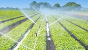 Irrigation agricole : obligation de préserver le débit minimum des rivières