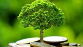 Finance verte – Il est urgent de mettre fin à l’écoblanchiment