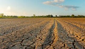Risque de sécheresse cet été – L’UFC-Que Choisir exige un véritable plan de préservation des ressources en eau