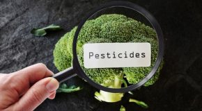 Pesticides – Les résidus les plus fréquemment détectés dans notre alimentation